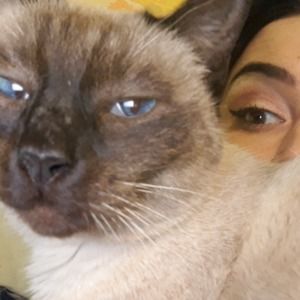 Meet your Posher, Amy